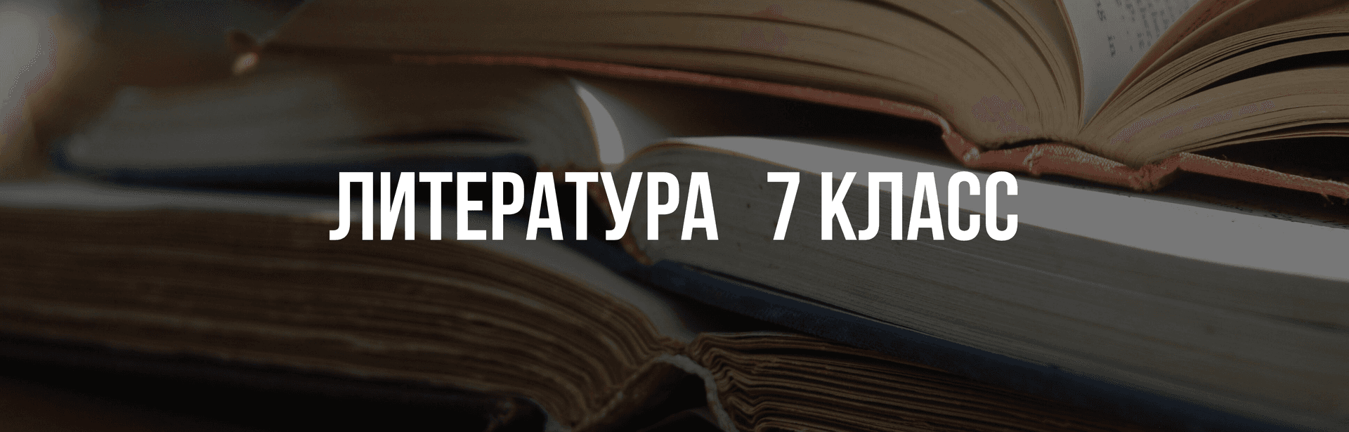 Литература 7 класс