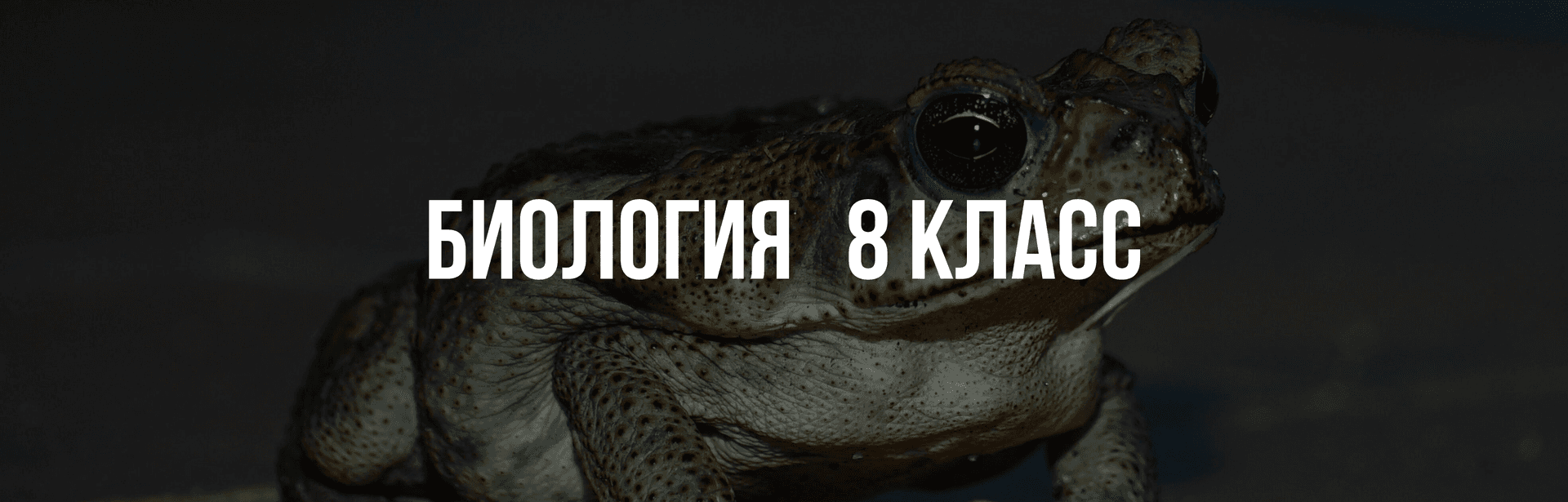 Биология 8 класс